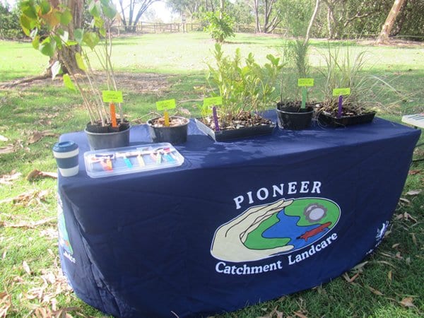 PCL Display at event